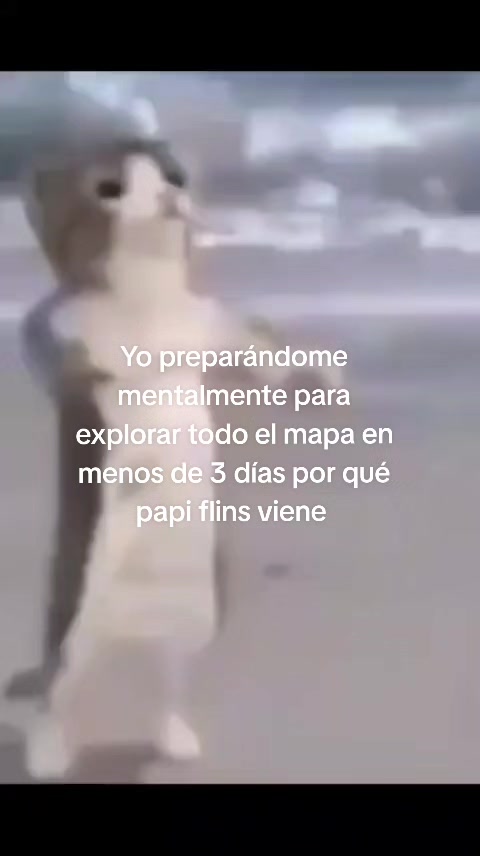 @Doro