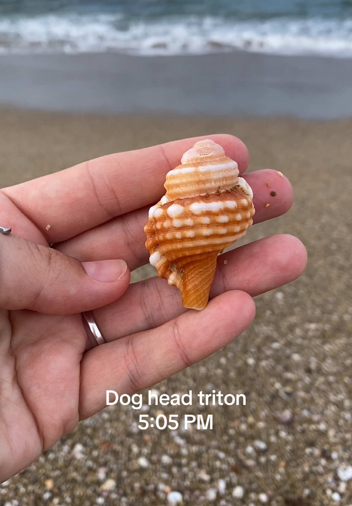 @🐚Jojo🌴