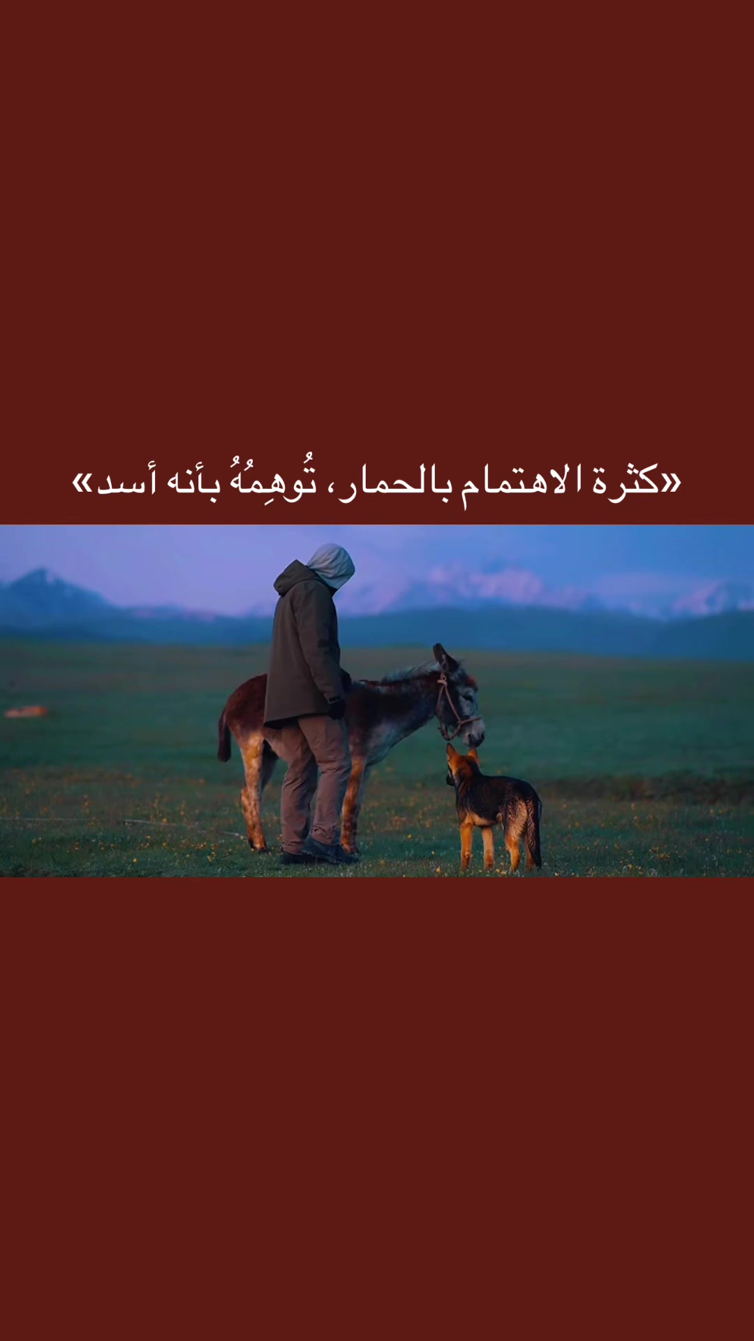 @المجتهد