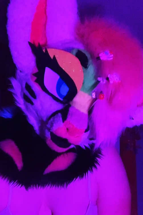 @Liger~Liger🐾🍉->FSC 26!!!