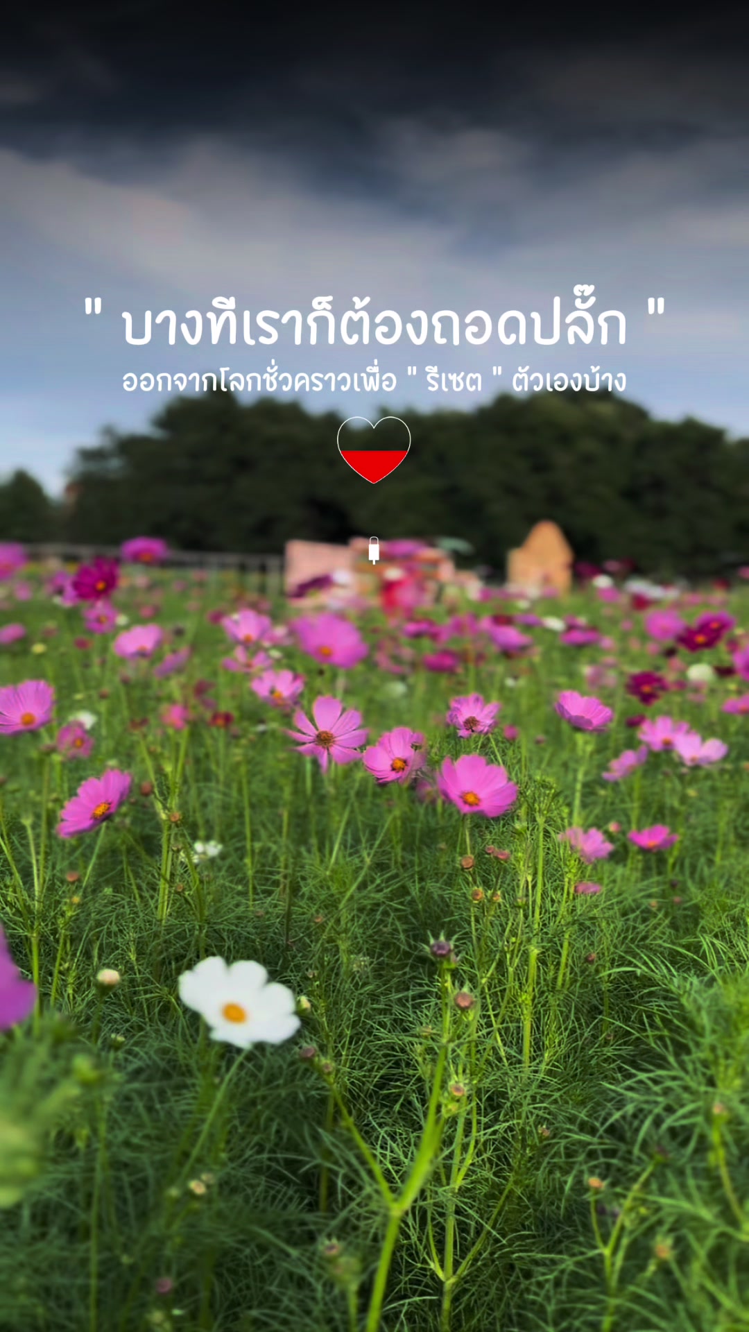 @Far Supaporn Niyompr