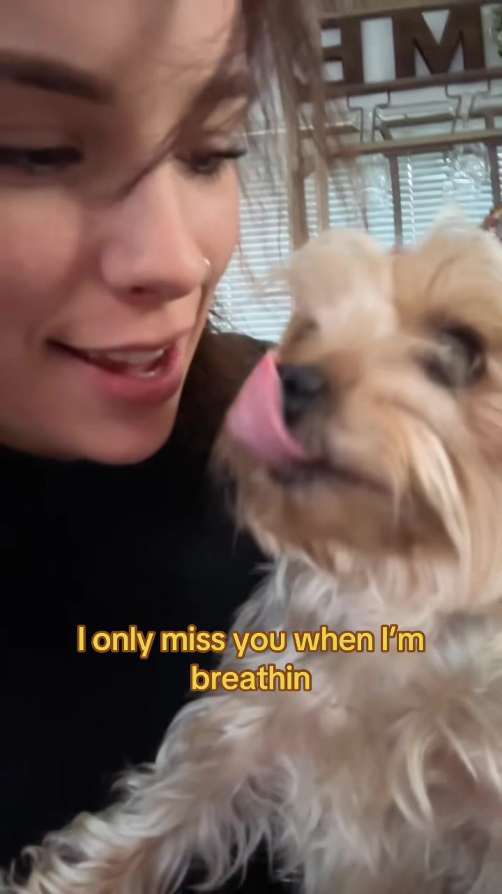 @rylynn k