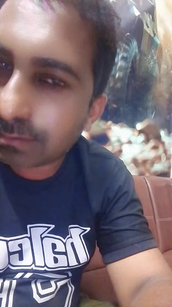 @M Jamil