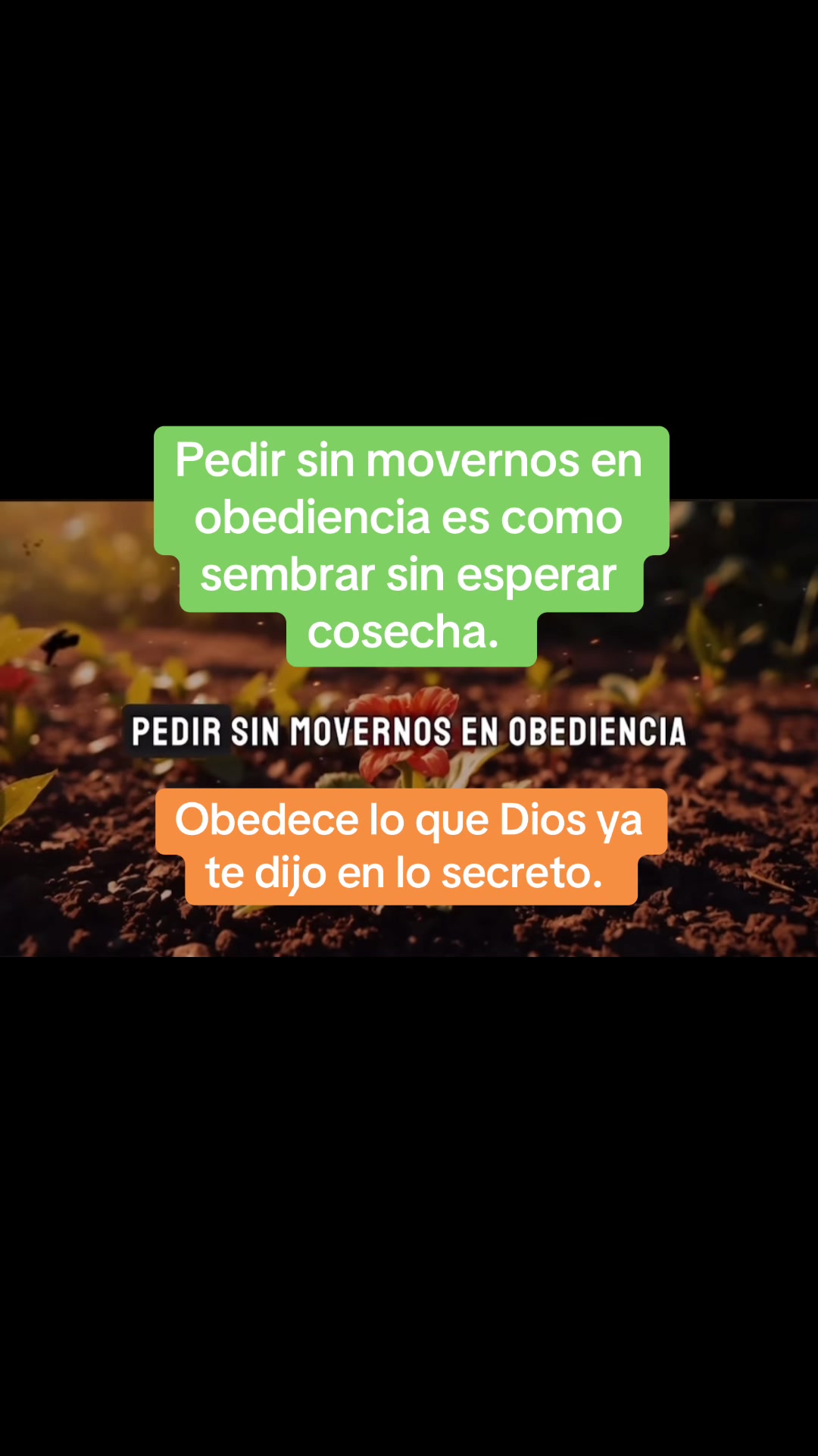 @Vivir & Amar