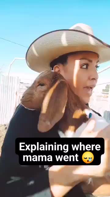 @Josette