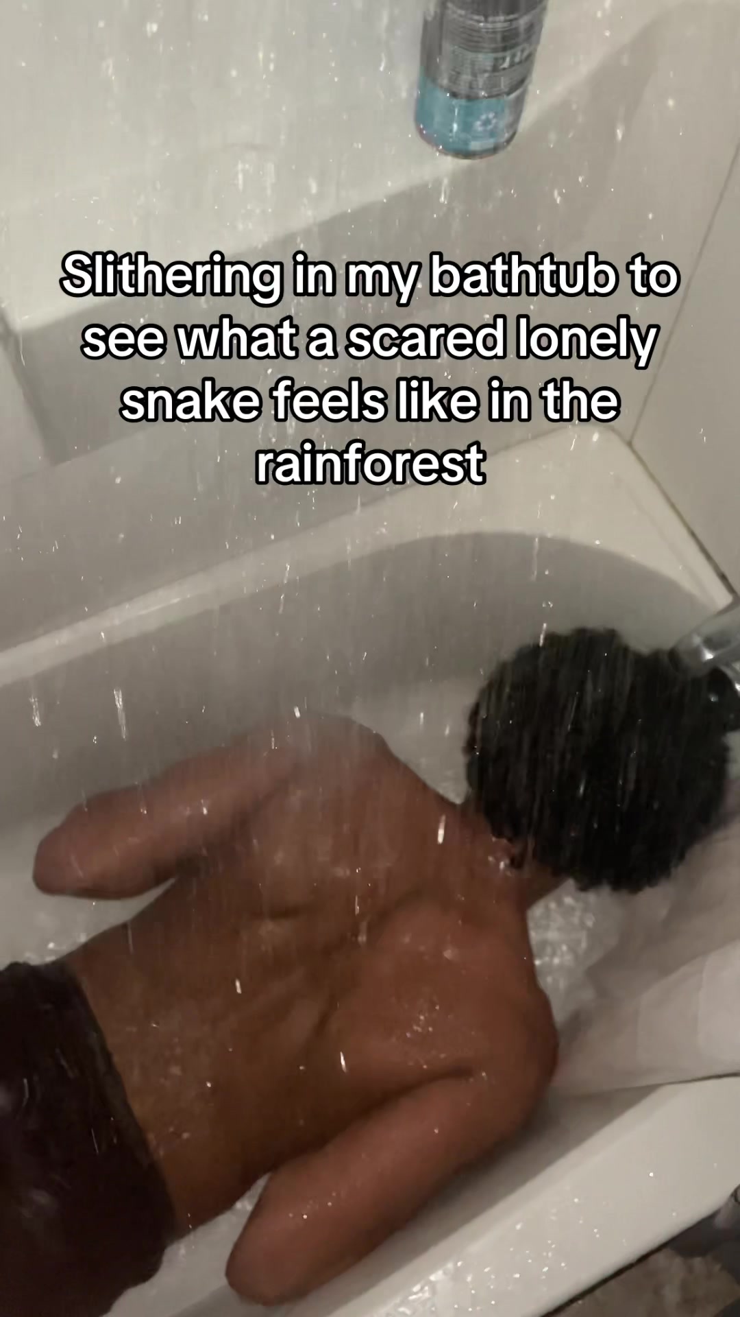 @zakaria