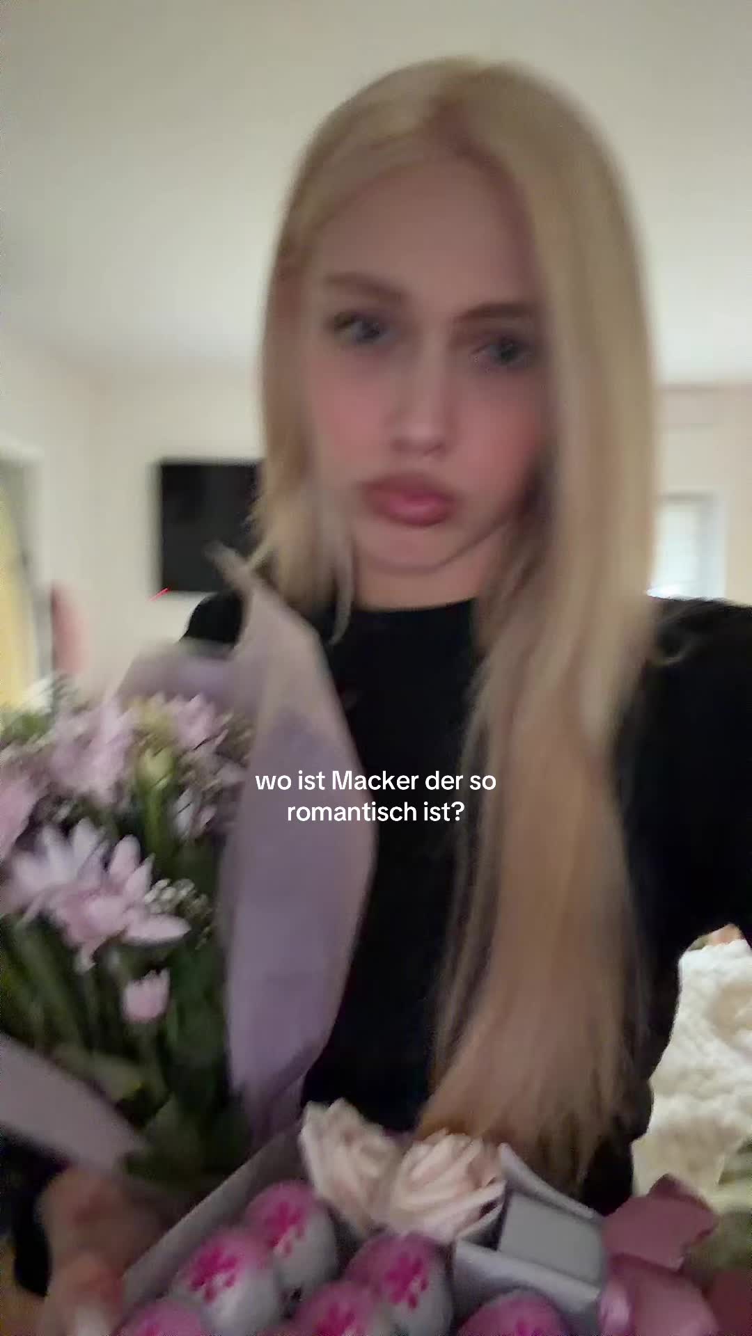 @dani.djokic