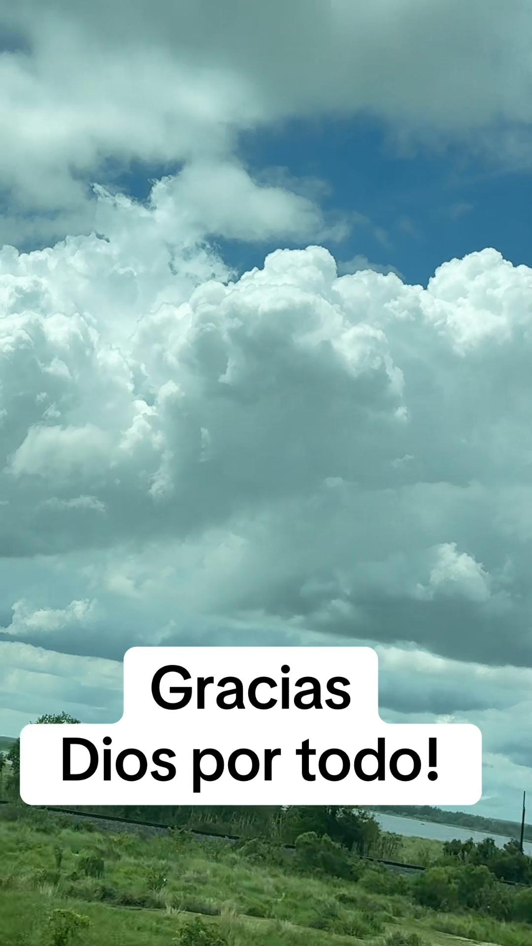 @Mabel Argueta🌻🌙🌞🦉