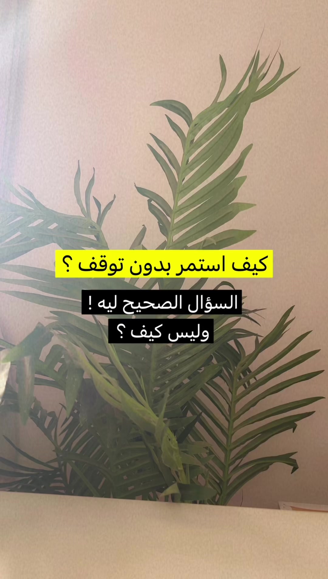 @sara.alrubaee