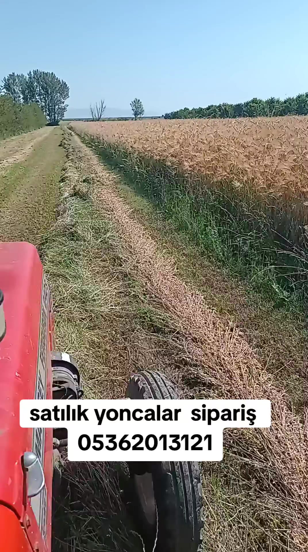@Halil