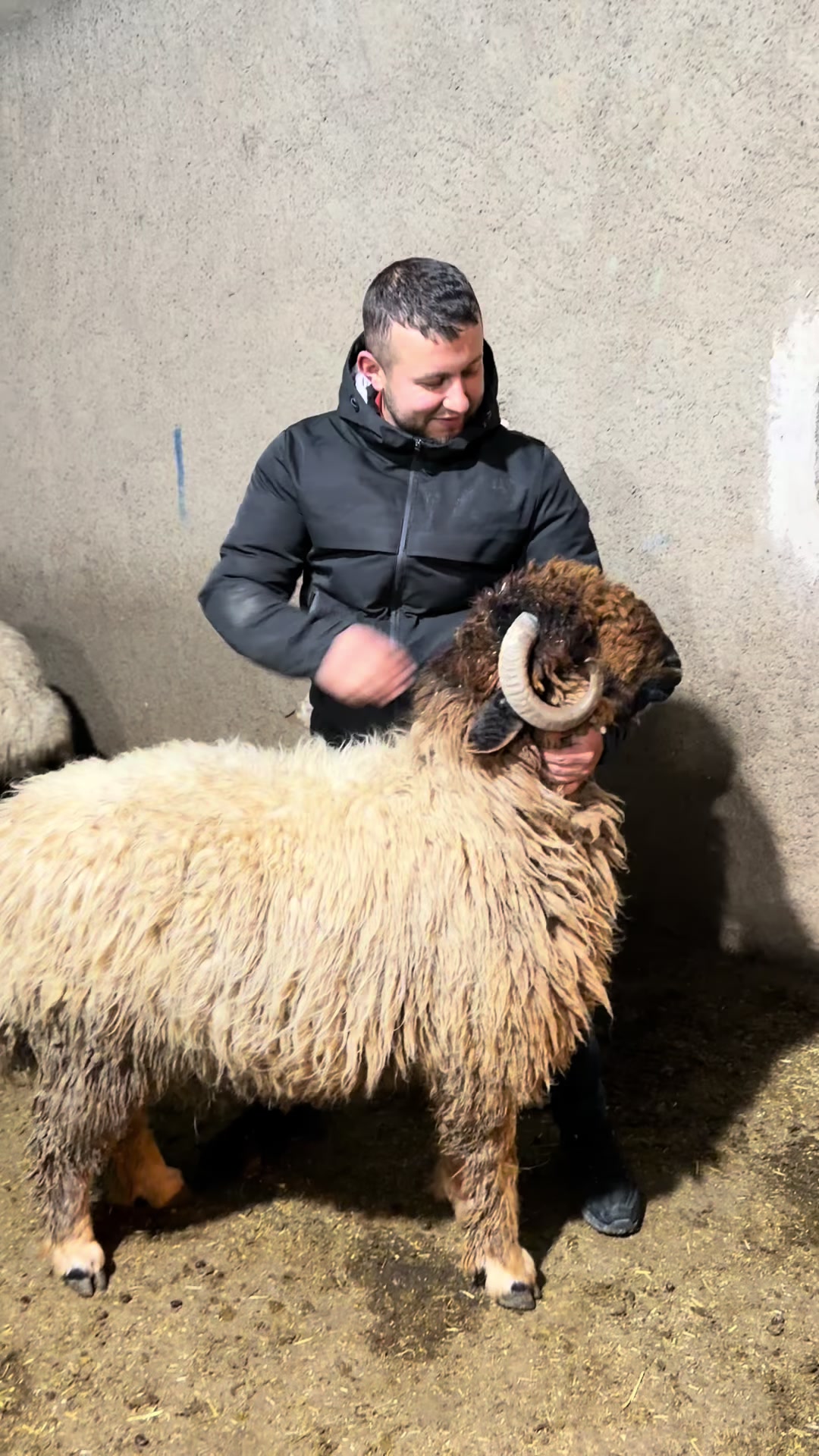 @Sefa cırık