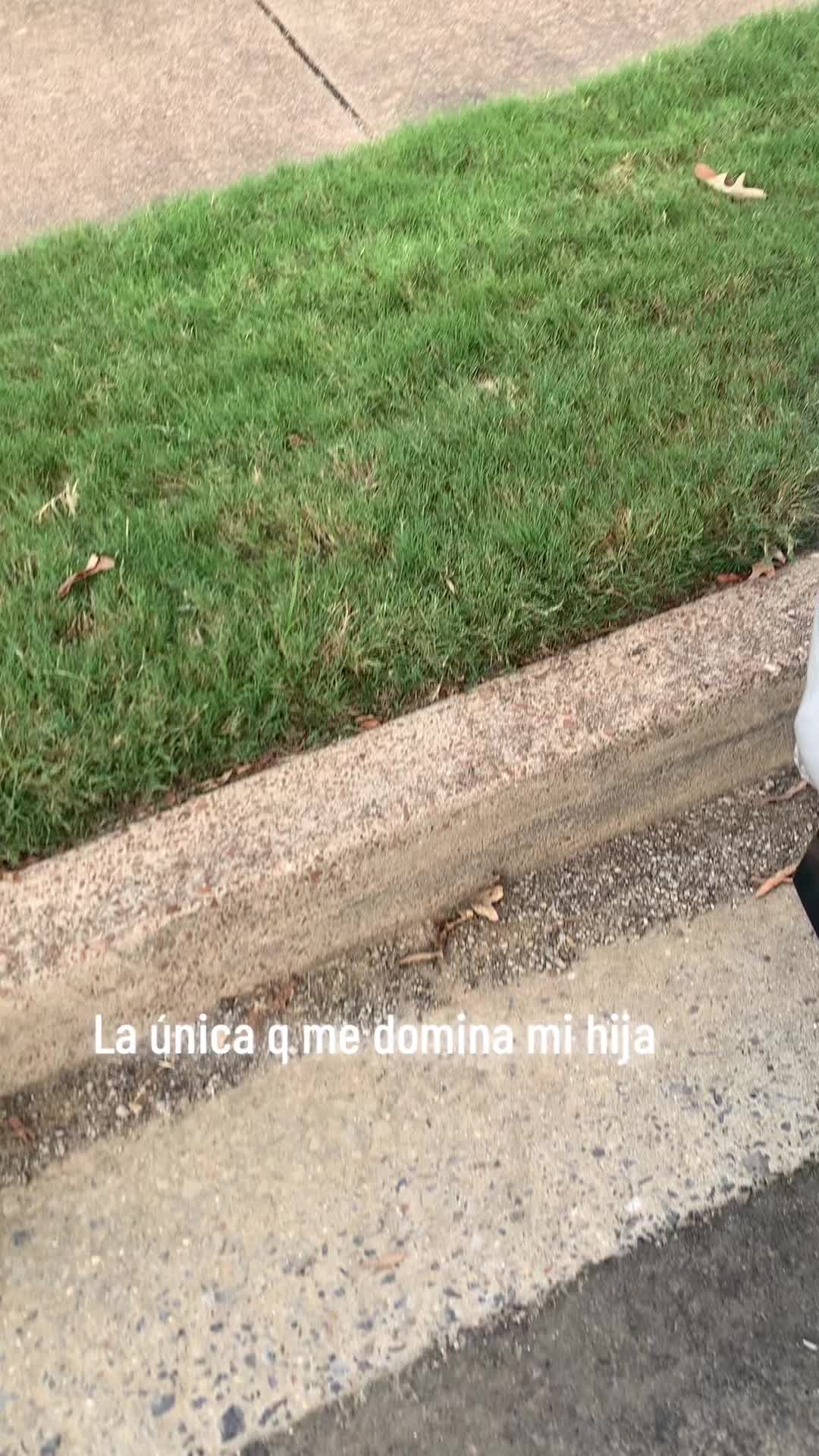 @Carlos reyes