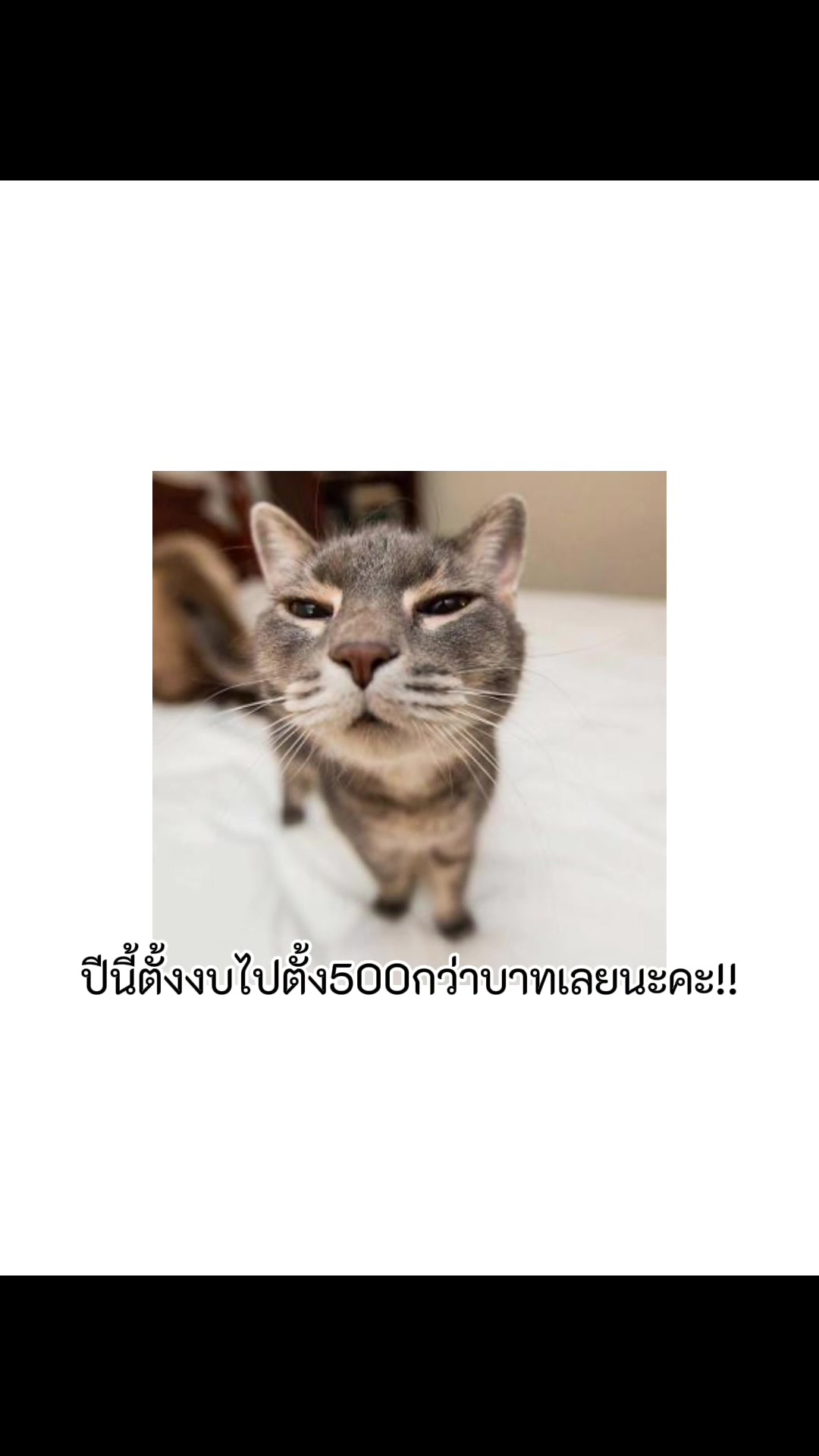@ชิรินชอบตริ้ว