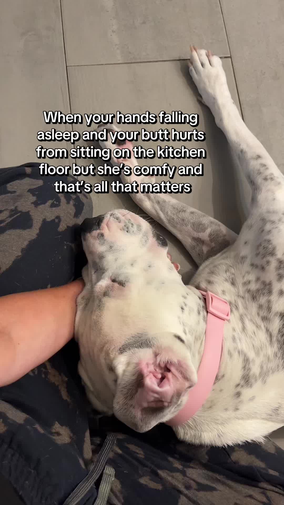 @lifewithstella