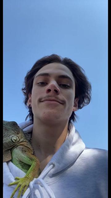 @🦔