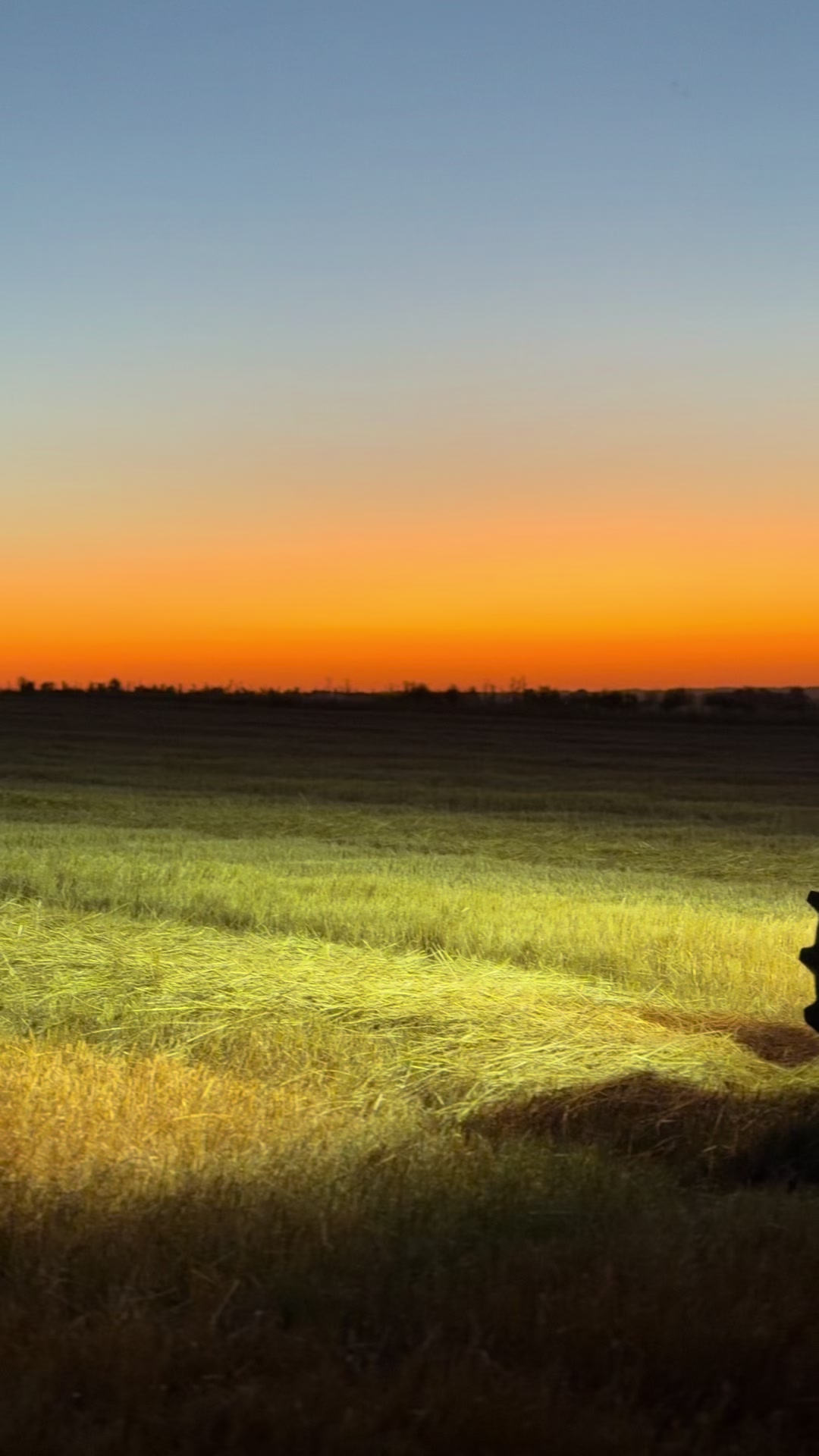 @thiagoo