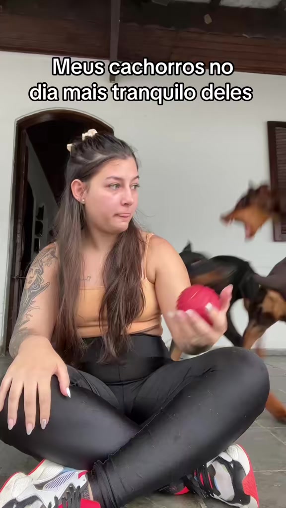 @Ravena e Venom, os Dobermans