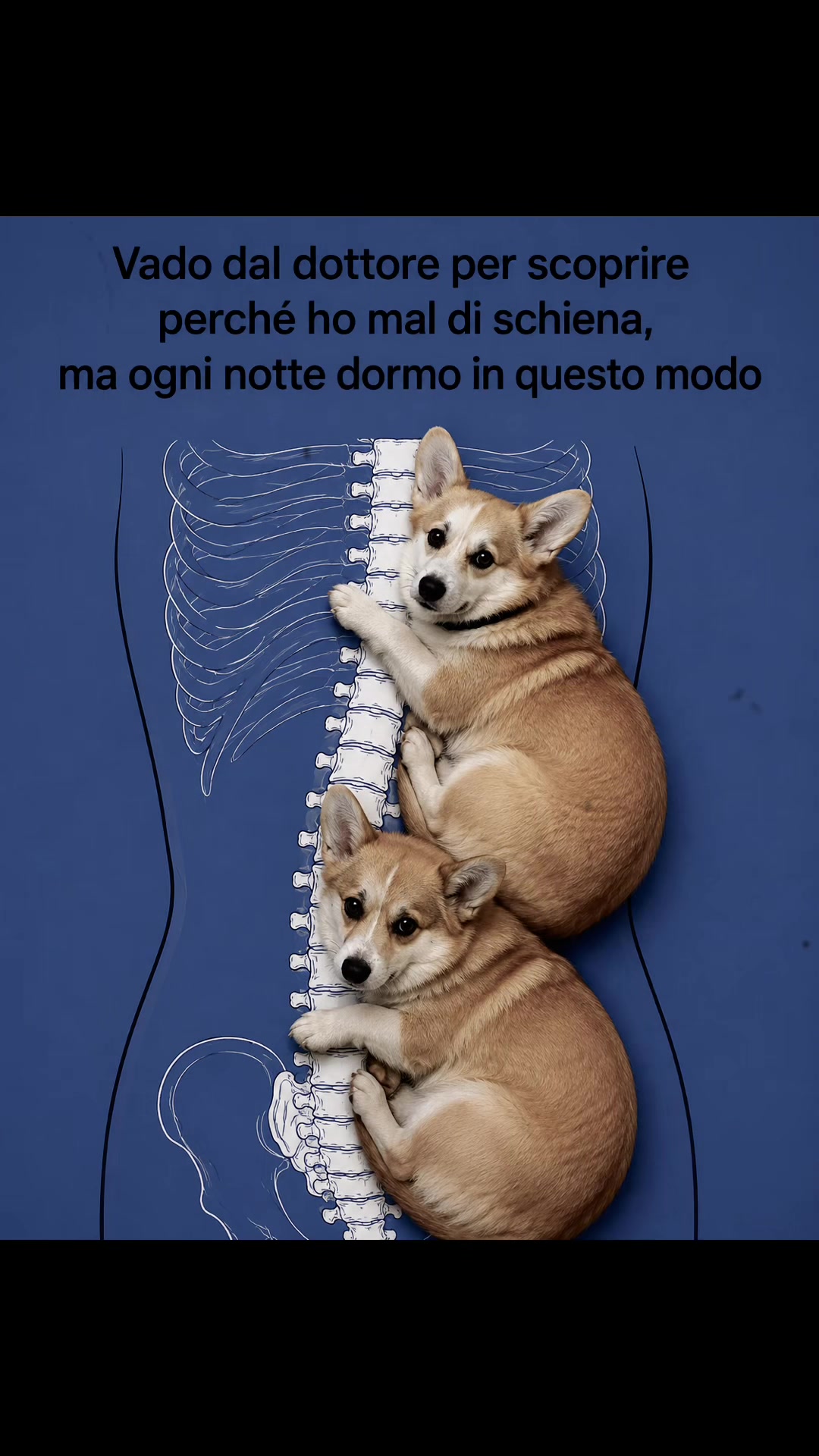 @Nadine Salomoni