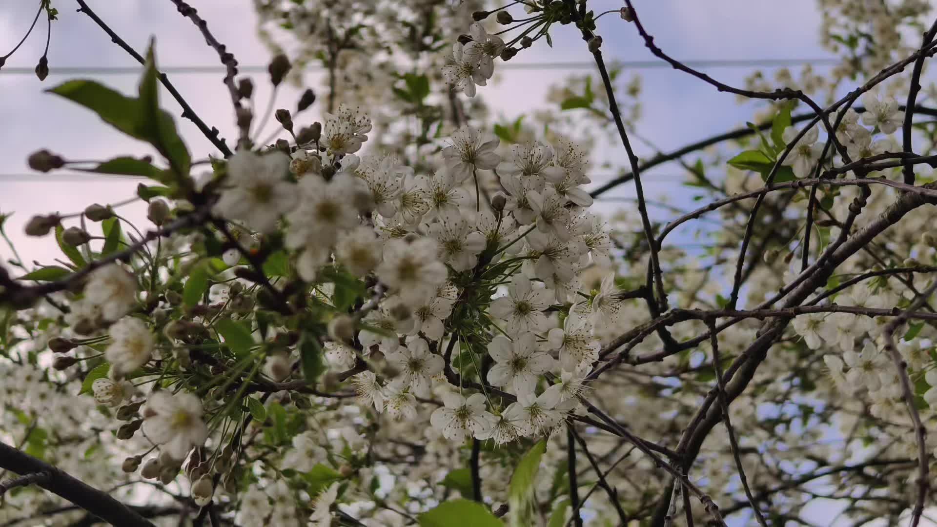@f0sea_