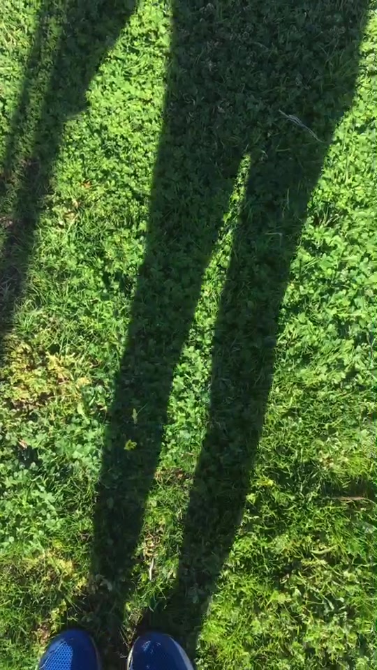 @beeeeeaaaaaaansssss