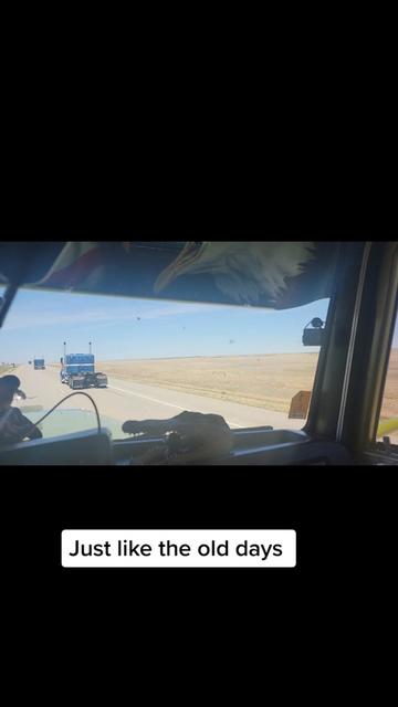 @Spike.311