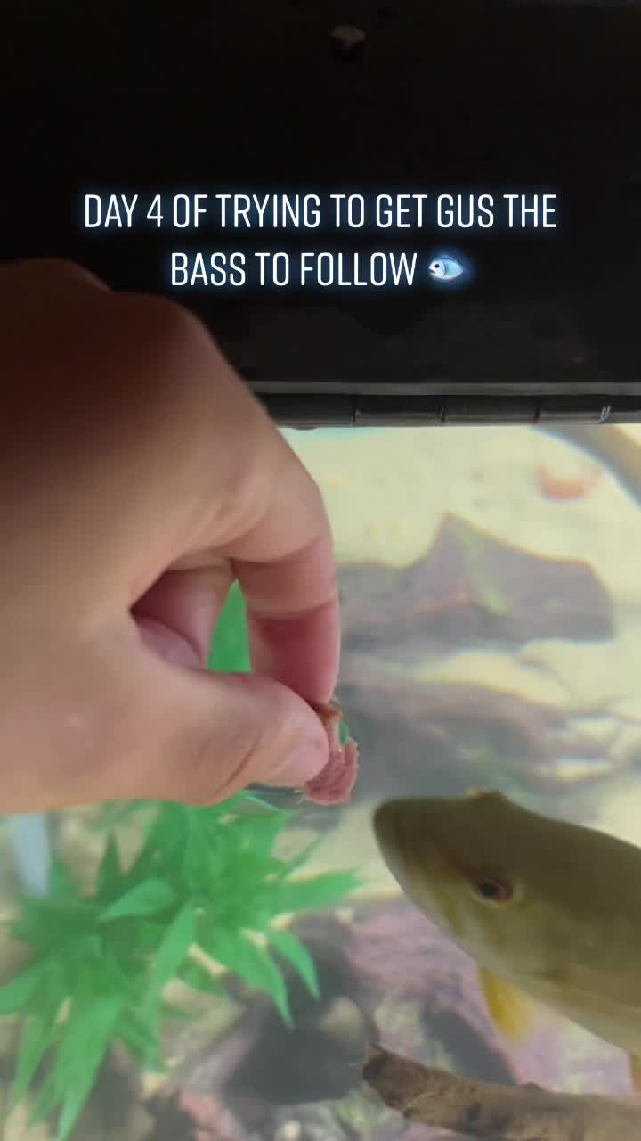 @Grub_the_bass