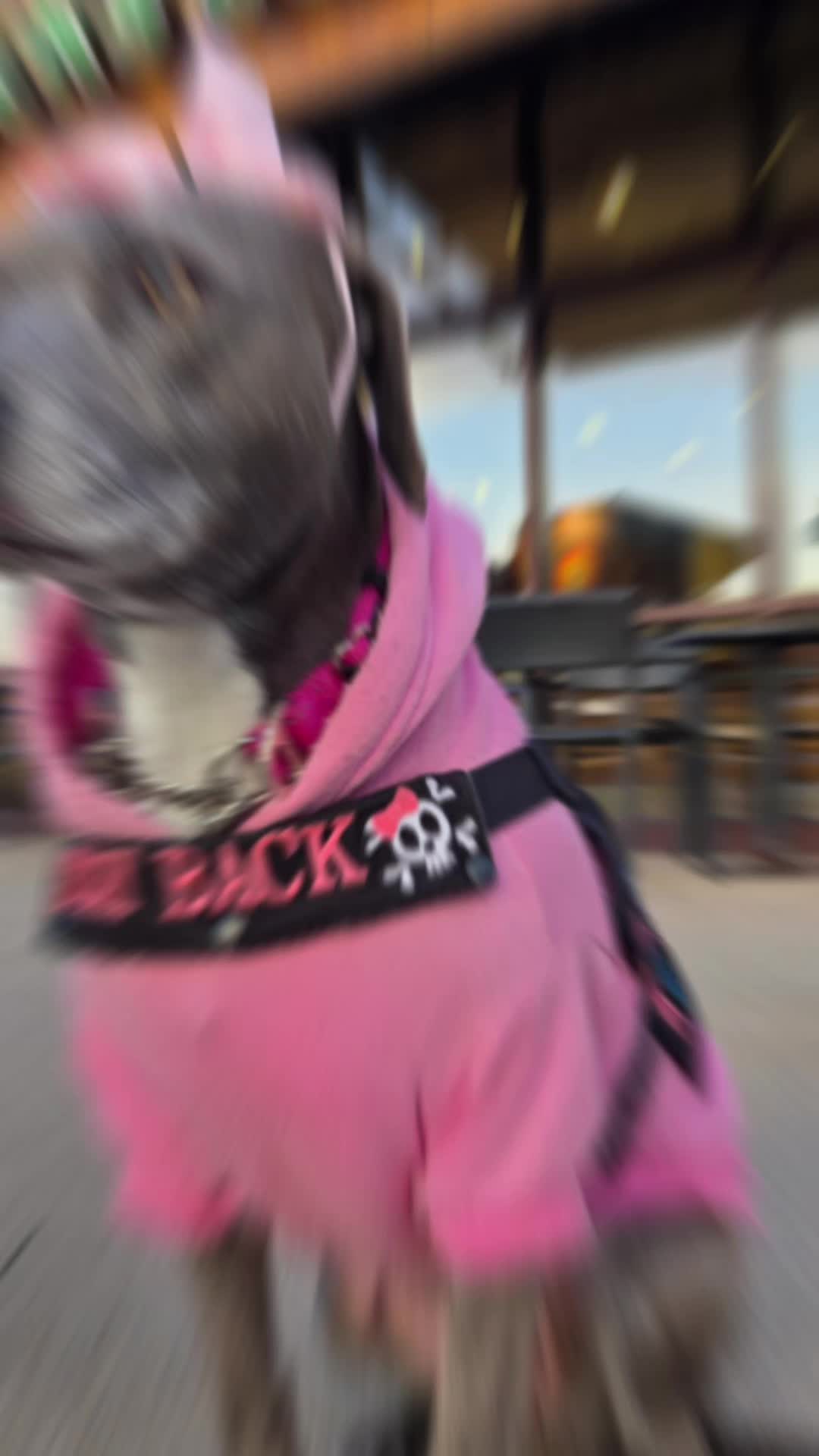 @Fourlow k9
