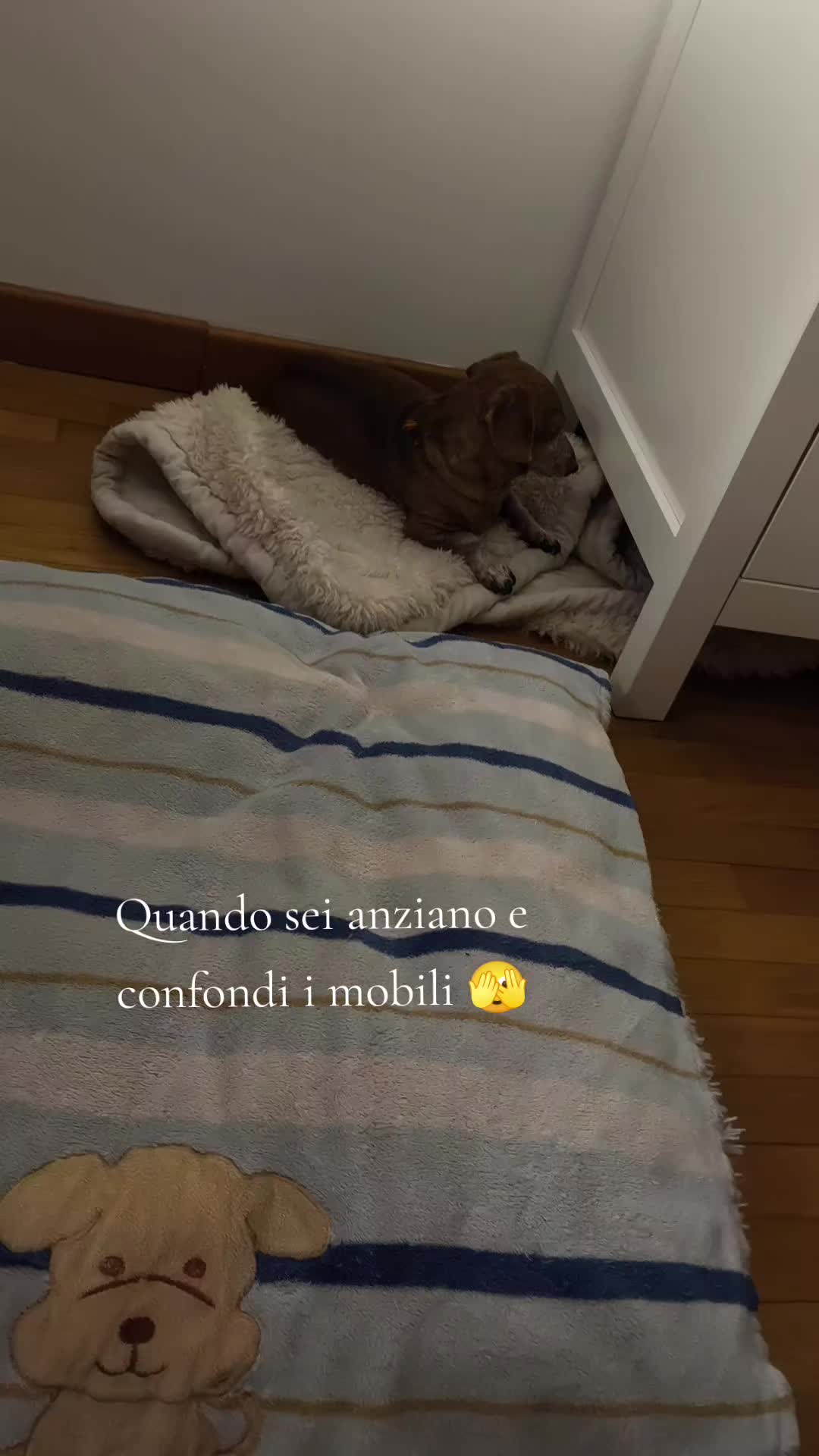 @Marta e Jj