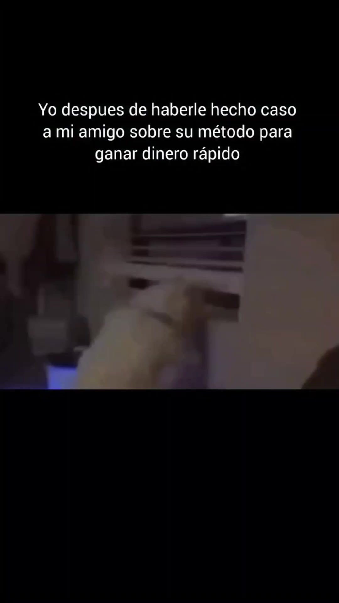 @Memes Deapeso