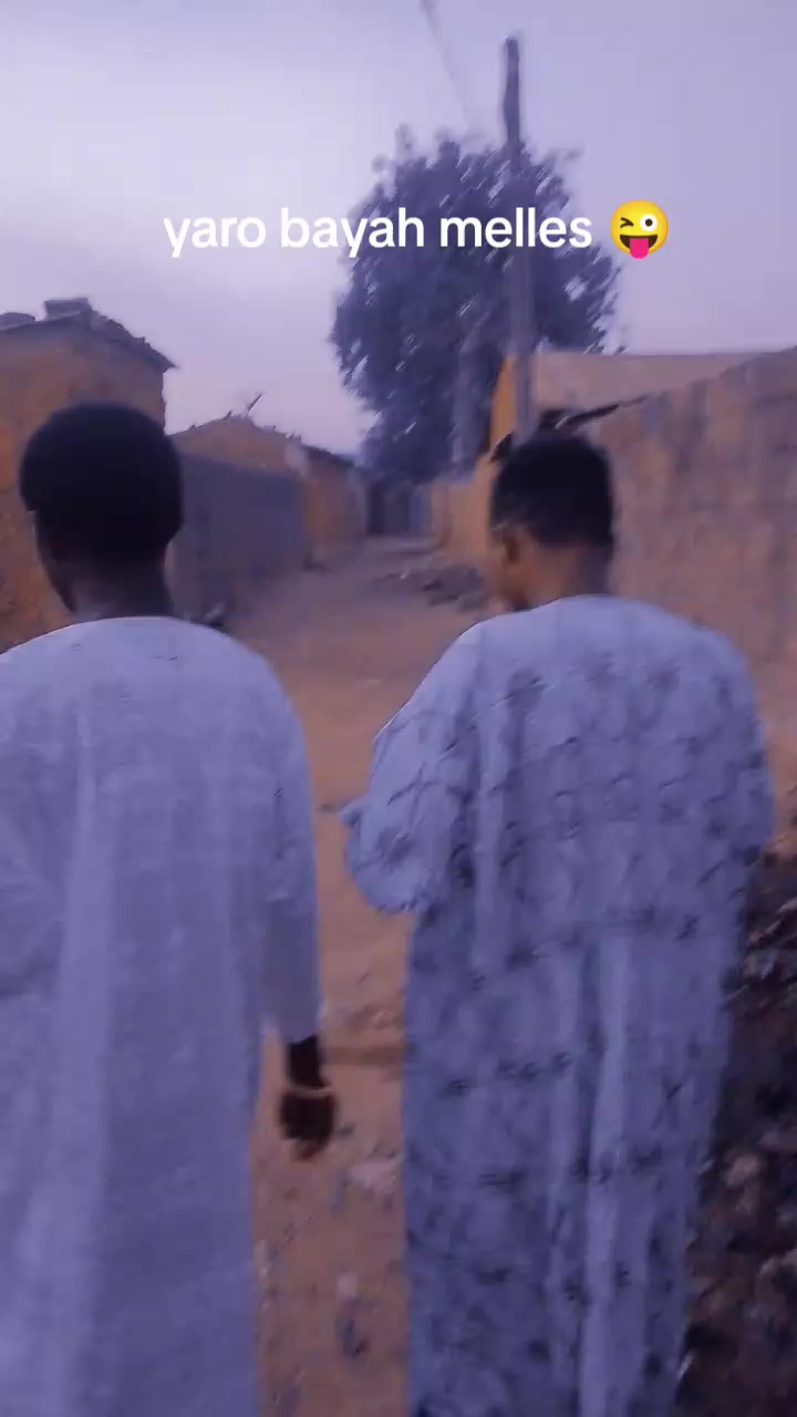 @bash sarki