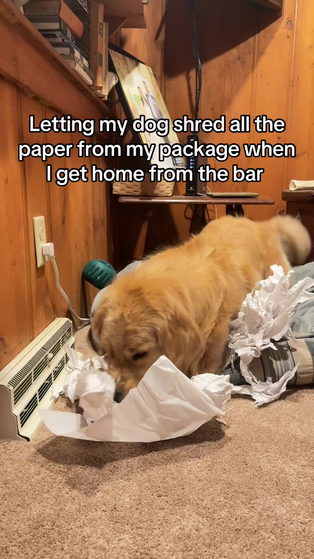 @Winter the Golden