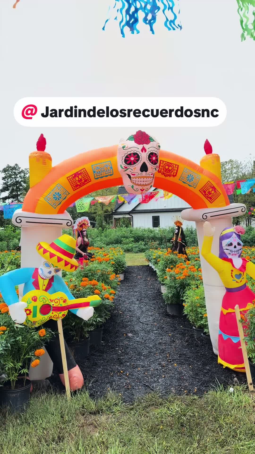 @La Pocha Herrera