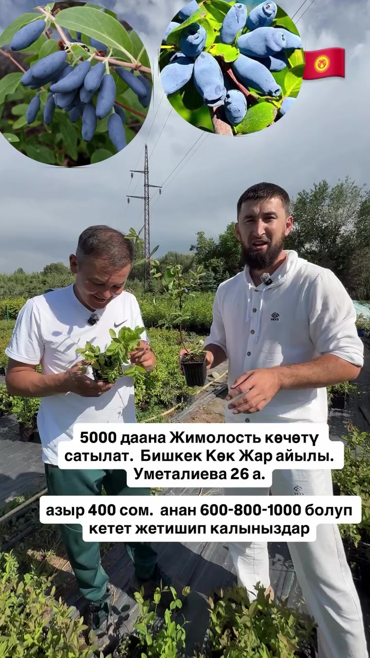 @СУПЕР САДОВНИК ИЗ ЖАЛАЛ-АБАДА