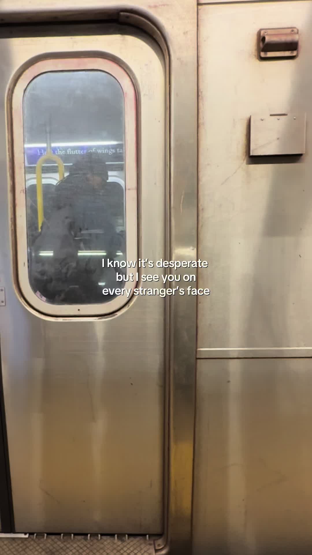 @Tara ◡̈