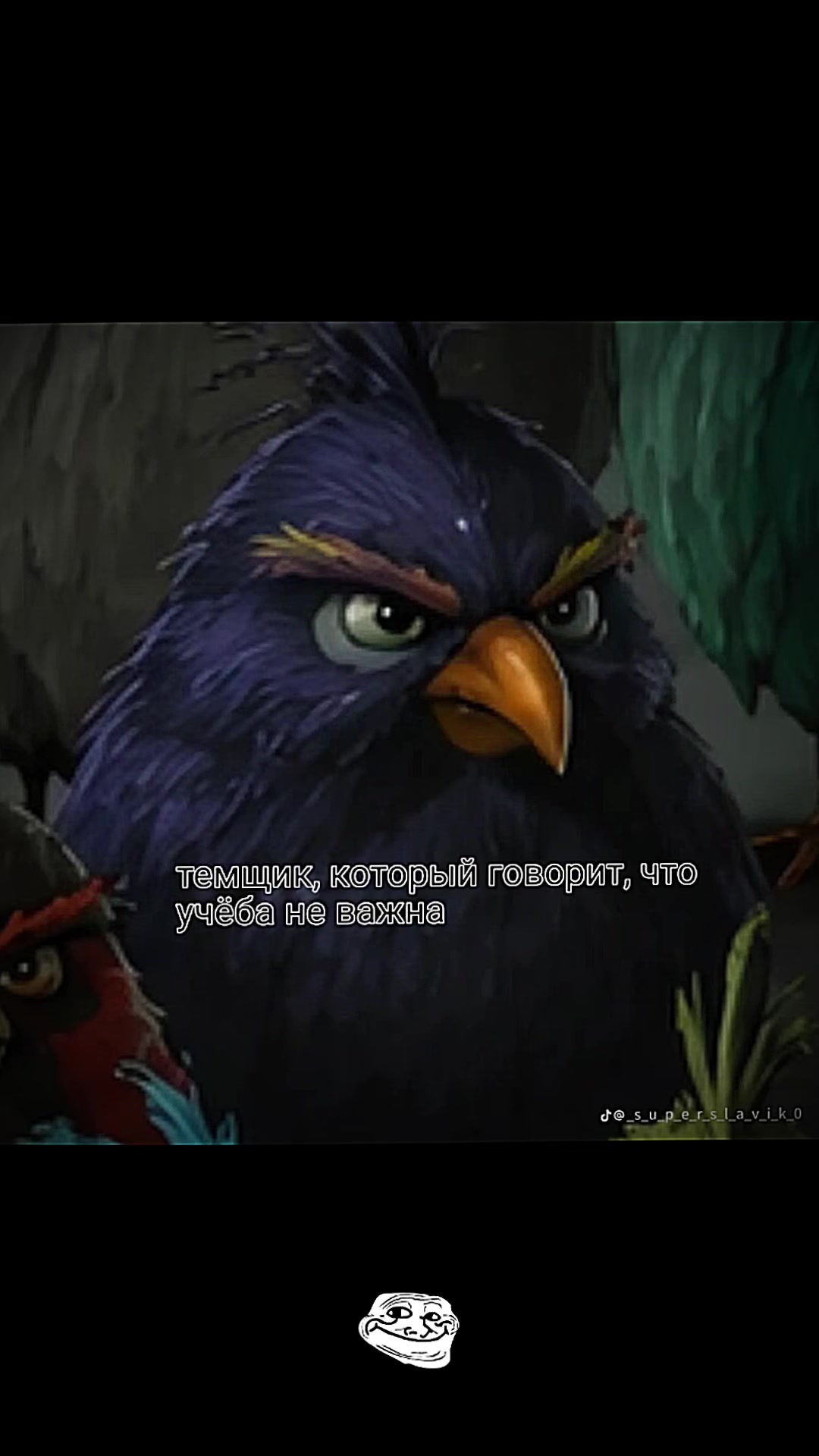 @СТАРШАК ПУПЫР💀