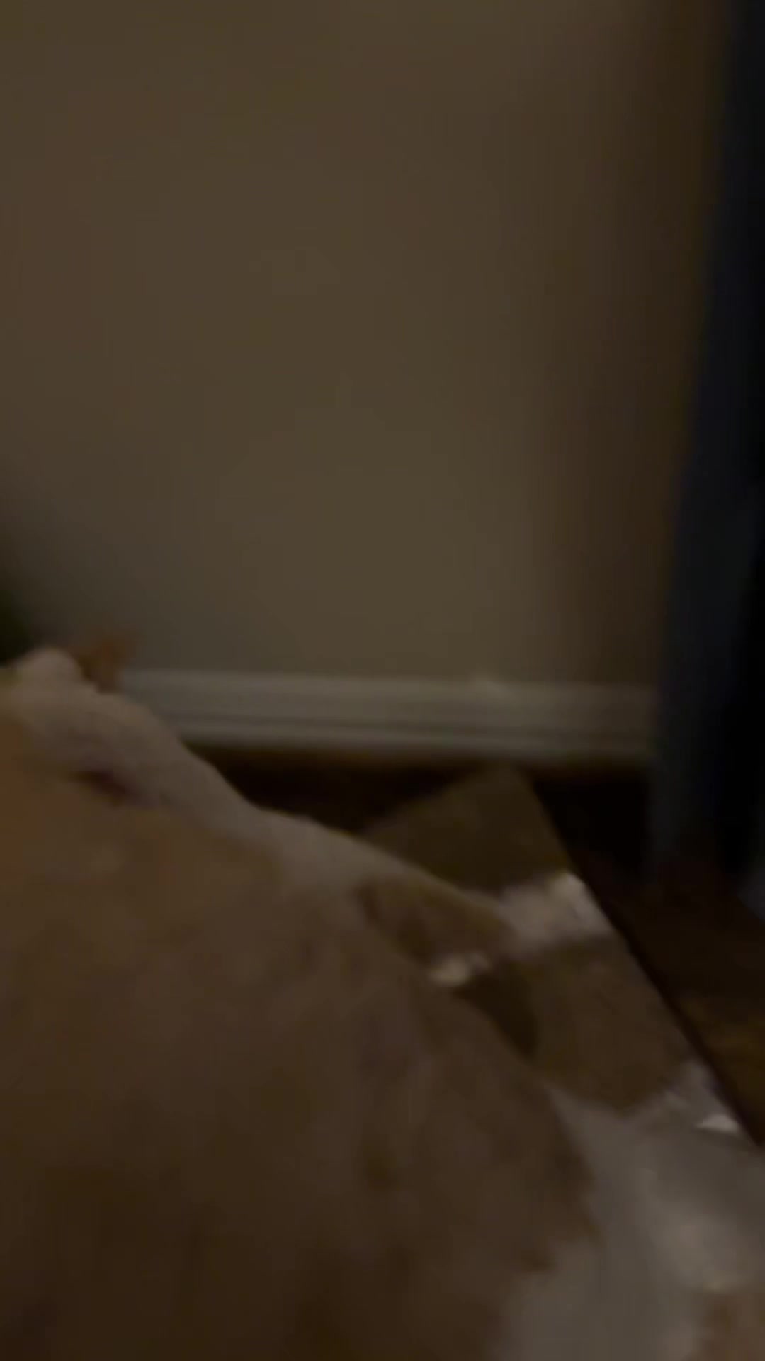 @Clairbbear
