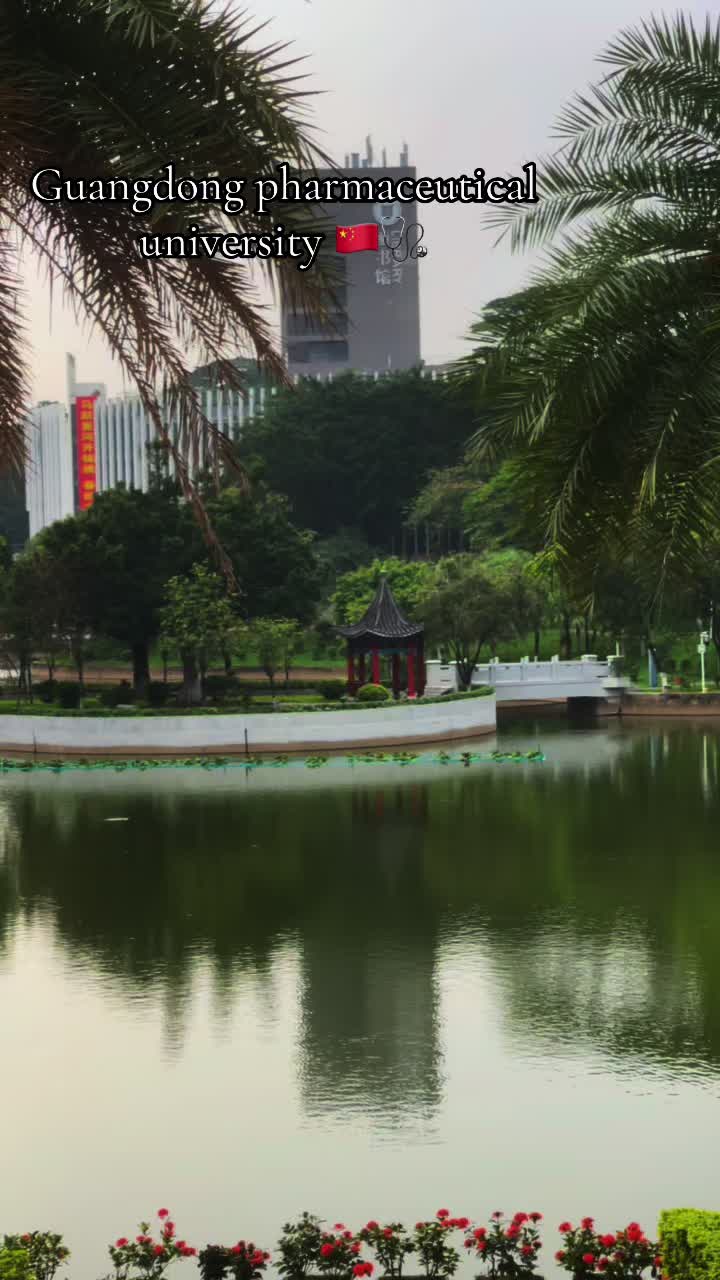 @GDPUVibes🇨🇳🇵🇰
