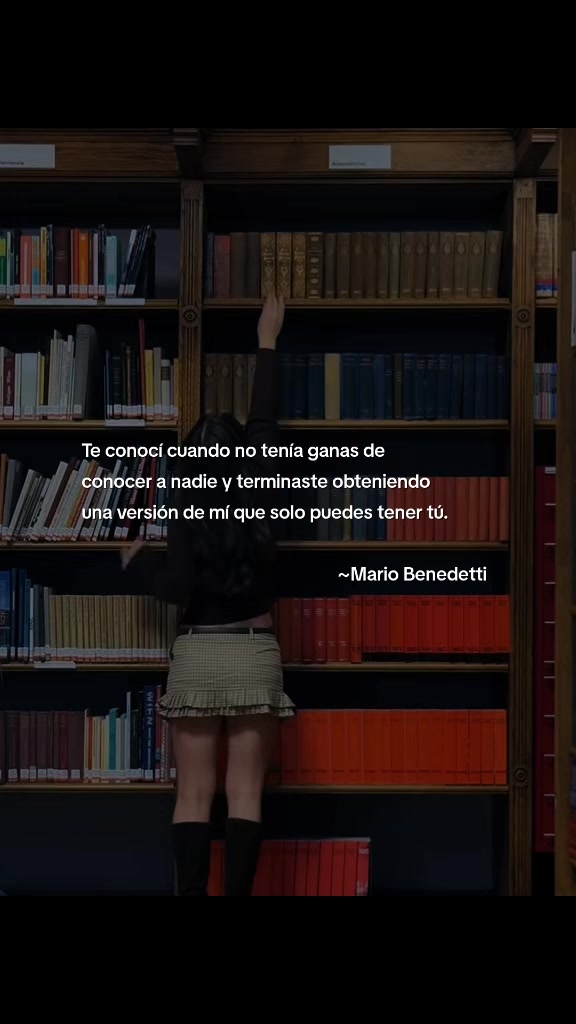 @Reyner Andr&eacute;s🦖