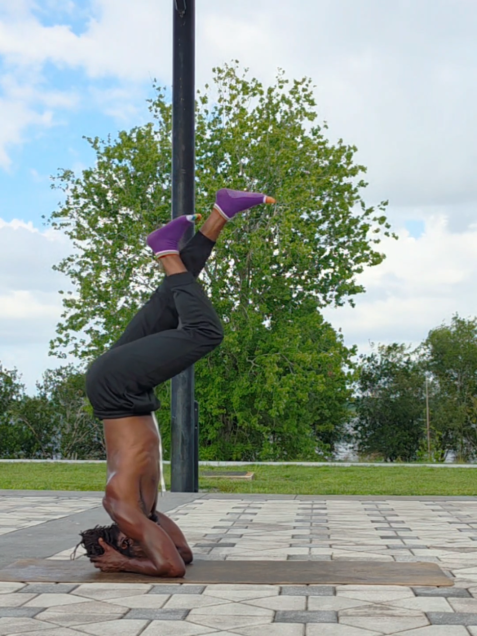 @C.hamp.ionyogi