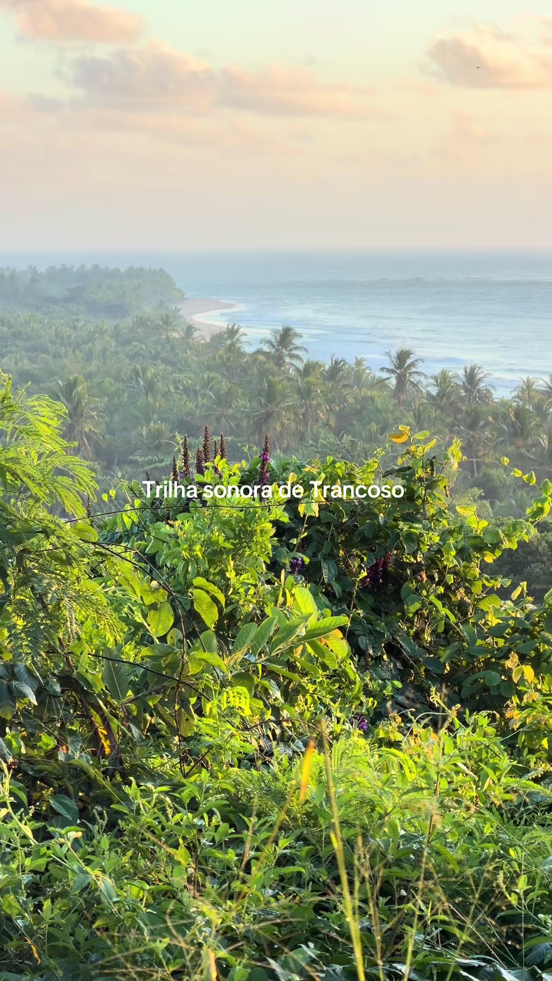 @Trancoso-Bahia