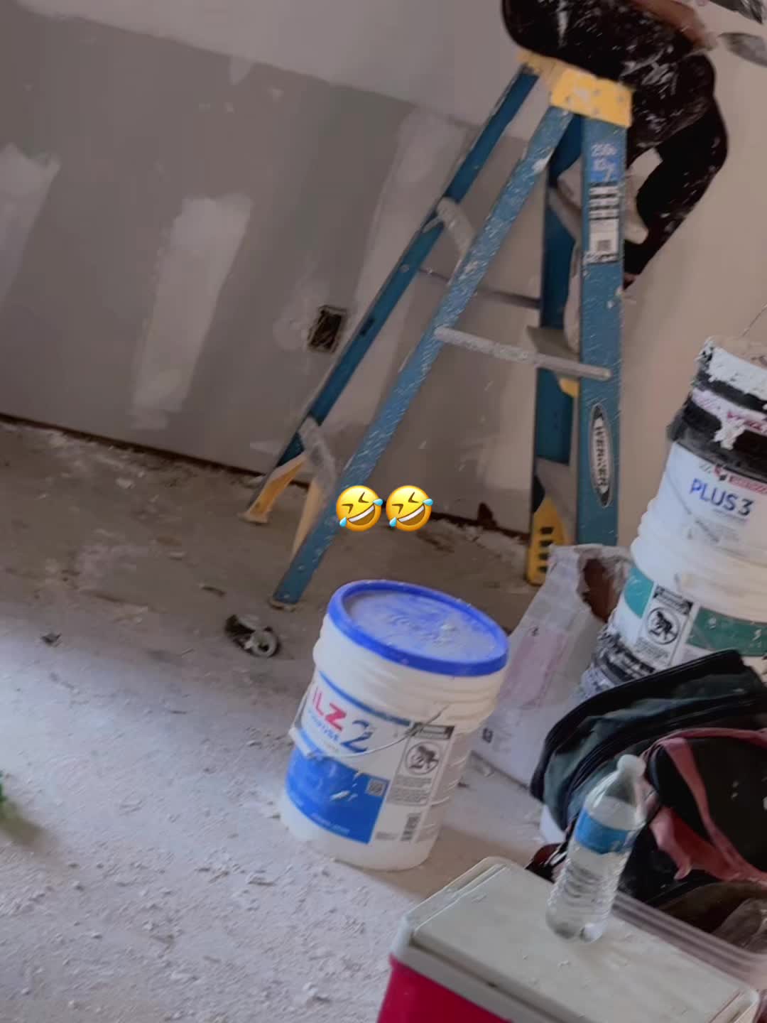 @valeria 🦋