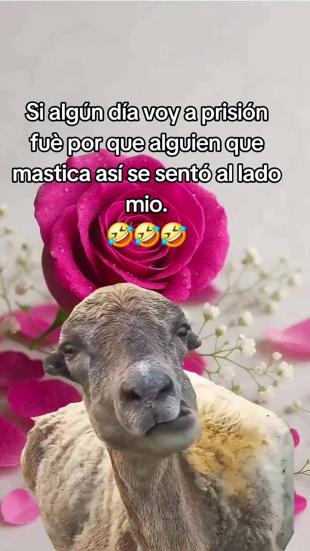 @ingridm