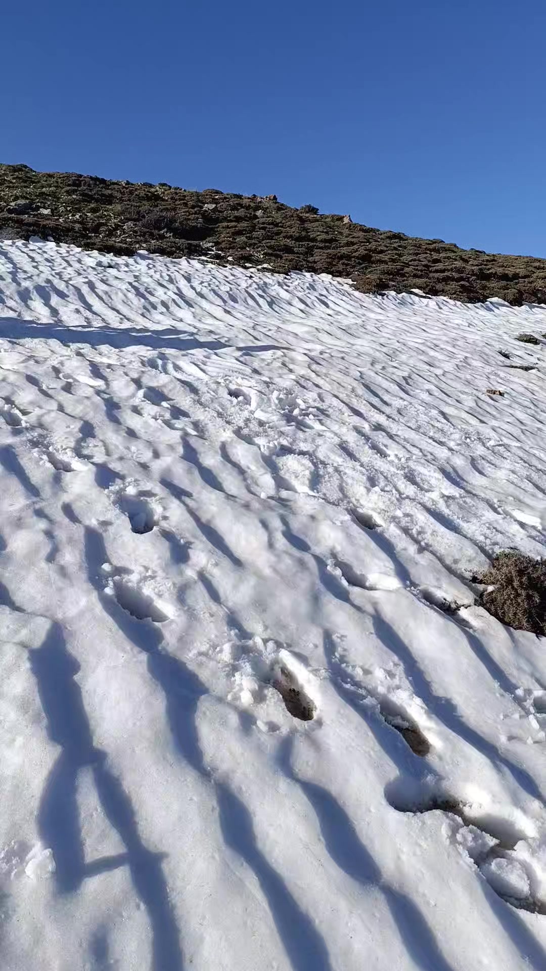 @Mehmet Gündaş