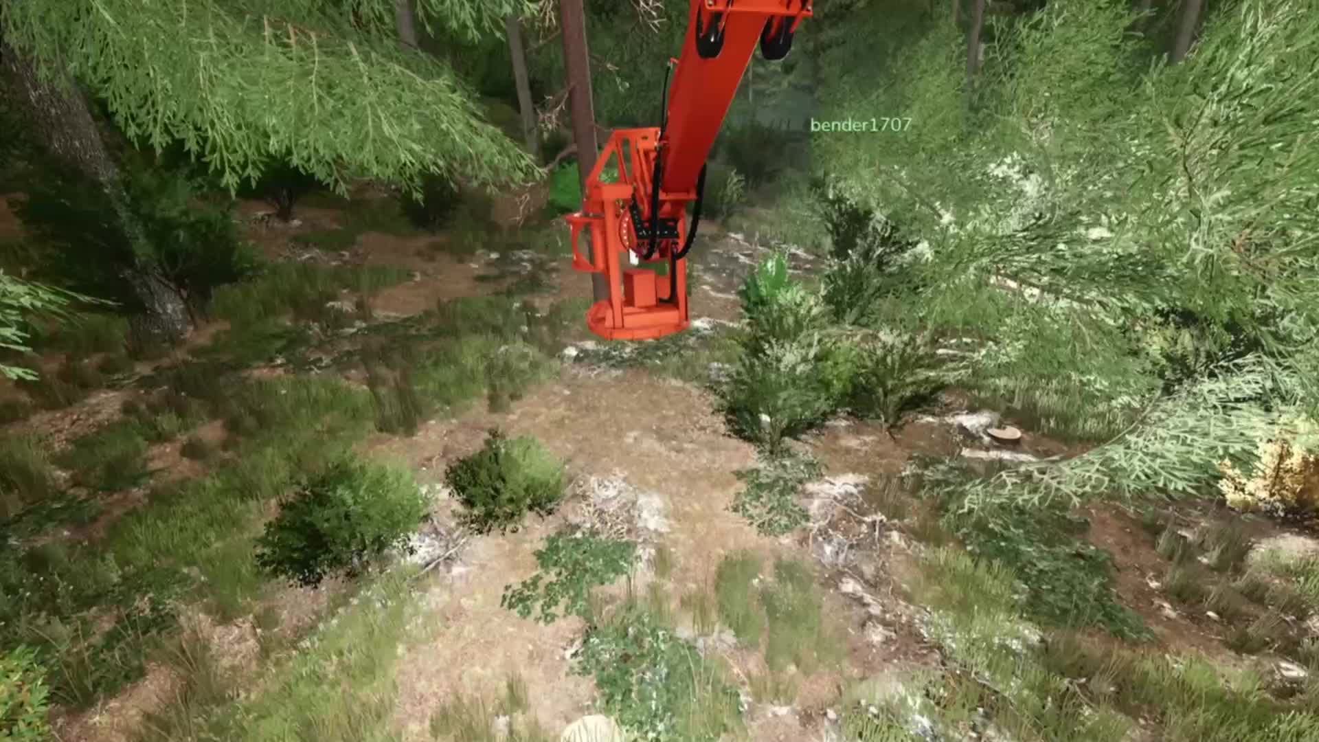 @SONS OF FORESTRY