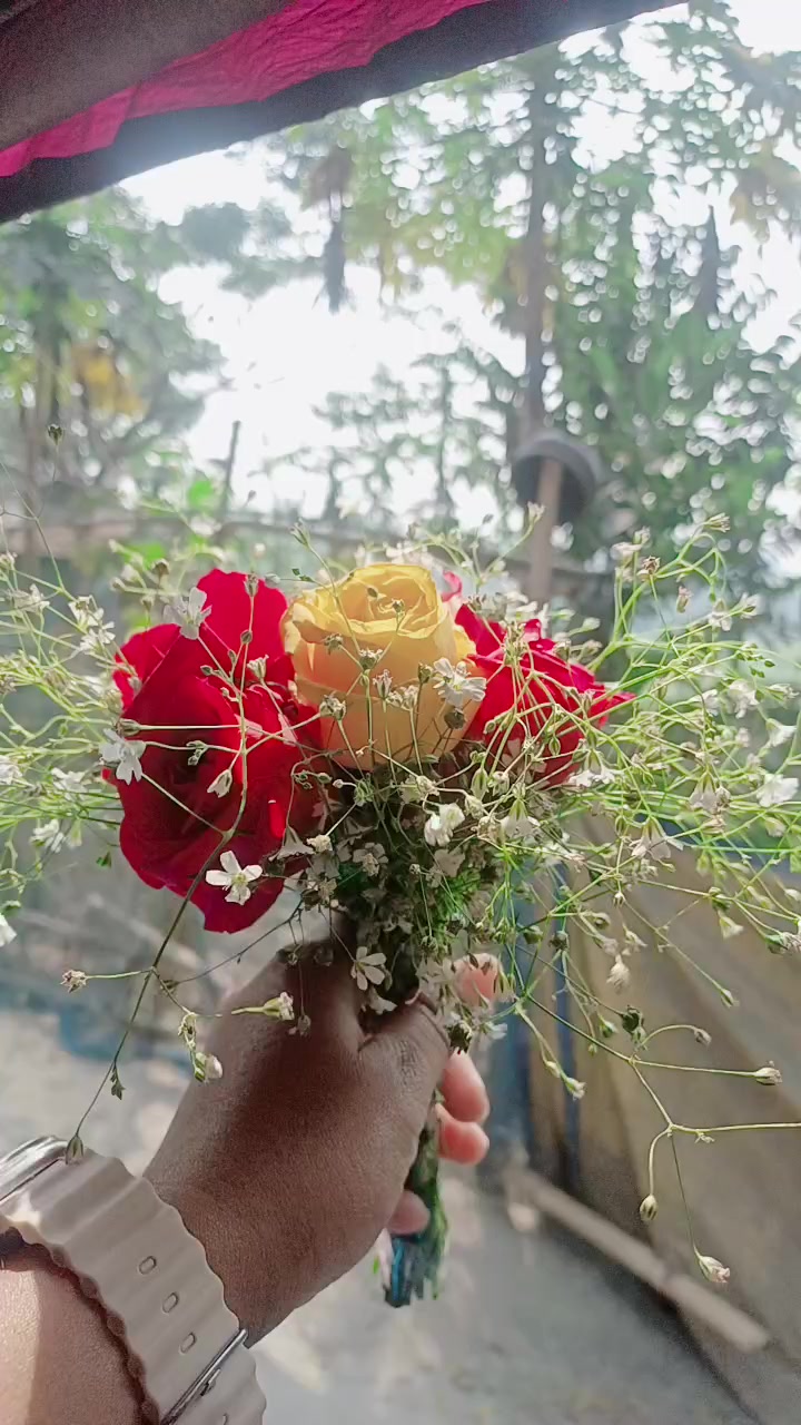 @Nodia🌷