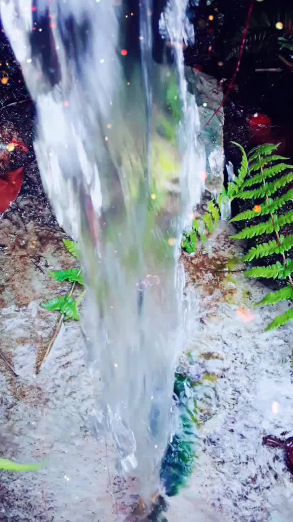 @Niruta Niruta981