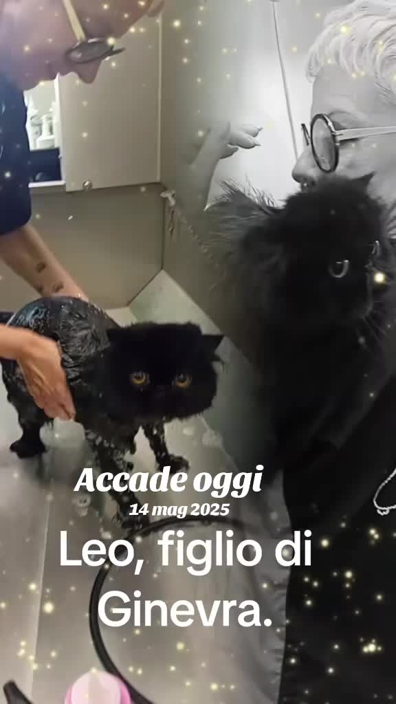 @Monicaebasta
