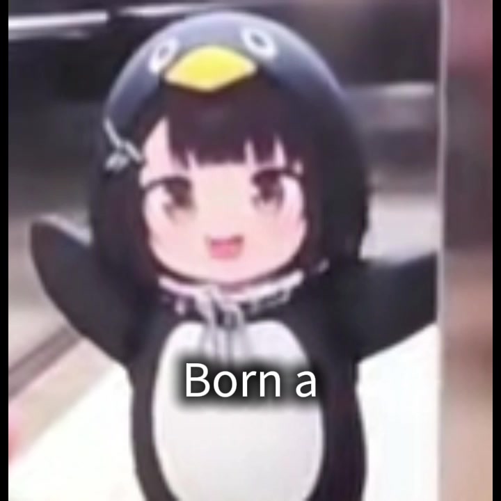 @pursuer 👑