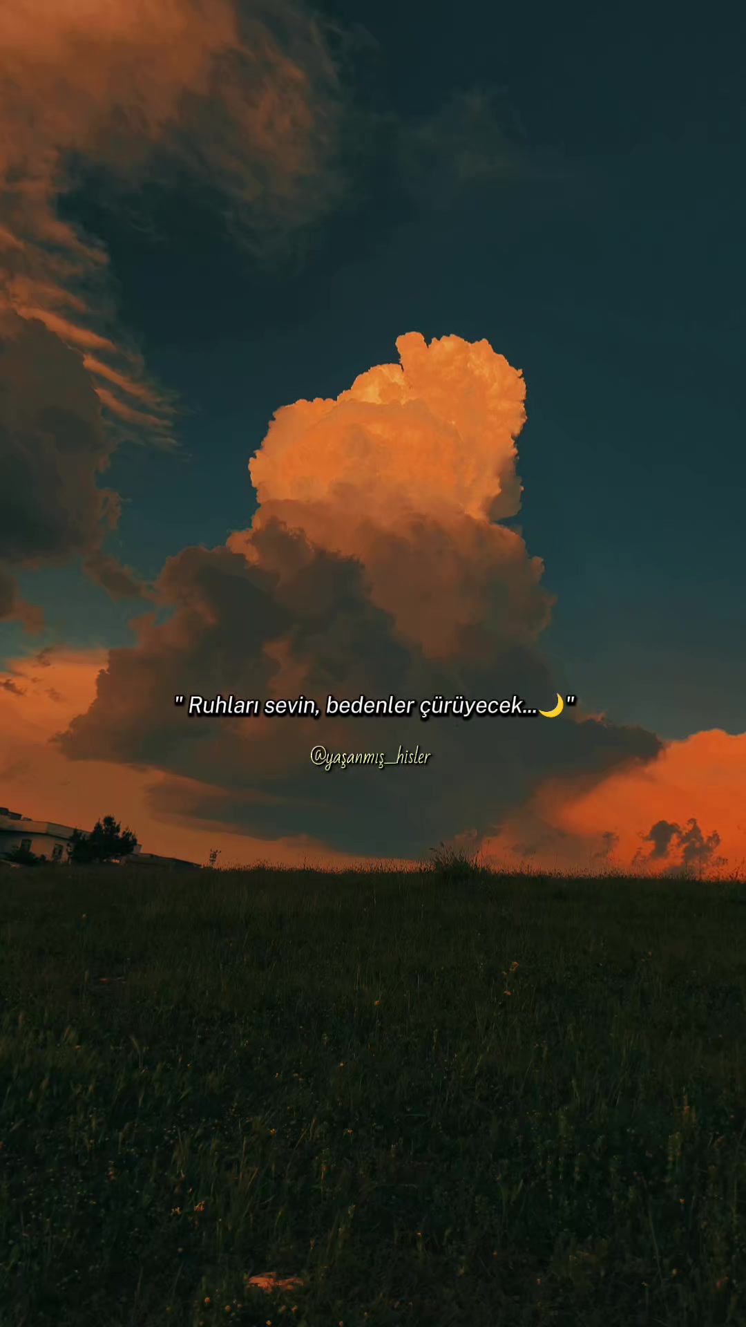 @•ʏᴀꜱ̧ᴀɴᴍɪꜱ̧ ʜɪ̇ꜱʟᴇʀ•