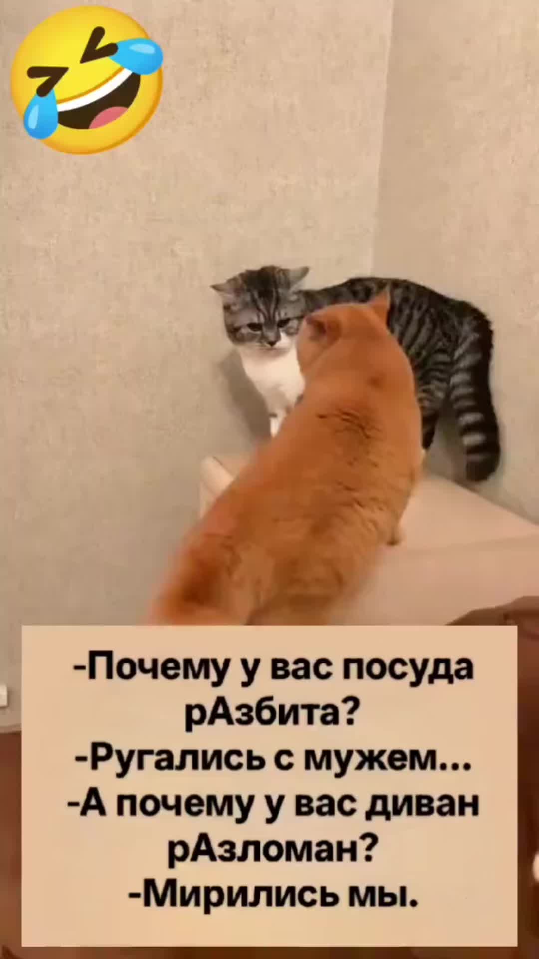 @Юлия🇷🇺🇩🇪🇷🇺